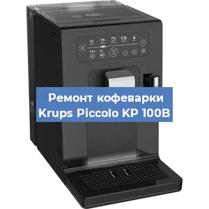 Декальцинация   кофемашины Krups Piccolo KP 100B в Санкт-Петербурге